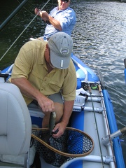 Watauga Float Trip  9  - Randy Handling Fish